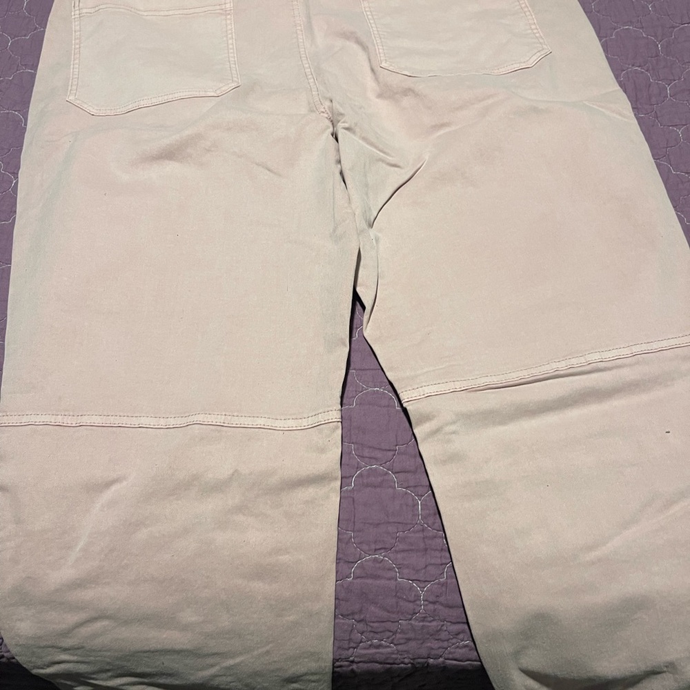 Banana Republic Pink Utility Pants